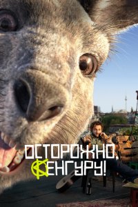 Осторожно, Кенгуру!  смотреть онлайн